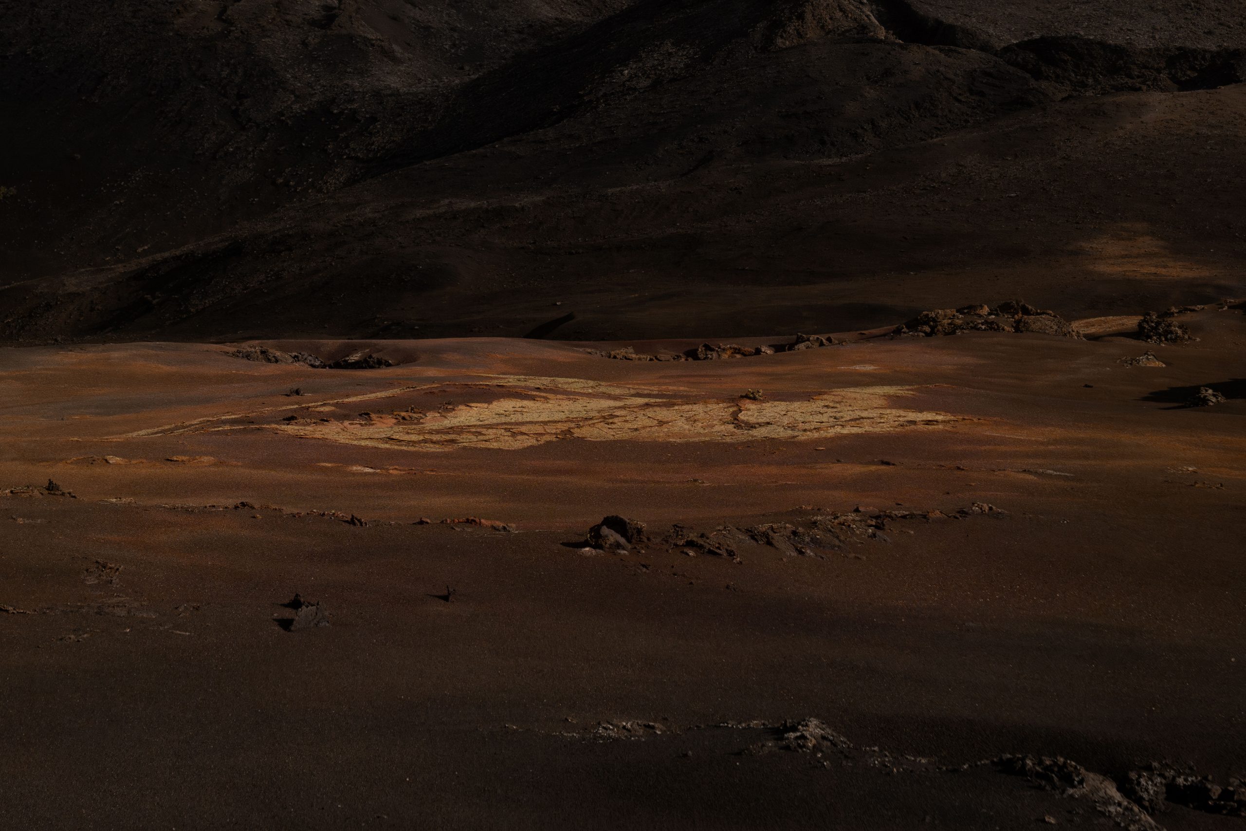 Tender-ground-(2025)-v3-final